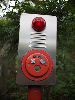 P4230135_thumb.png