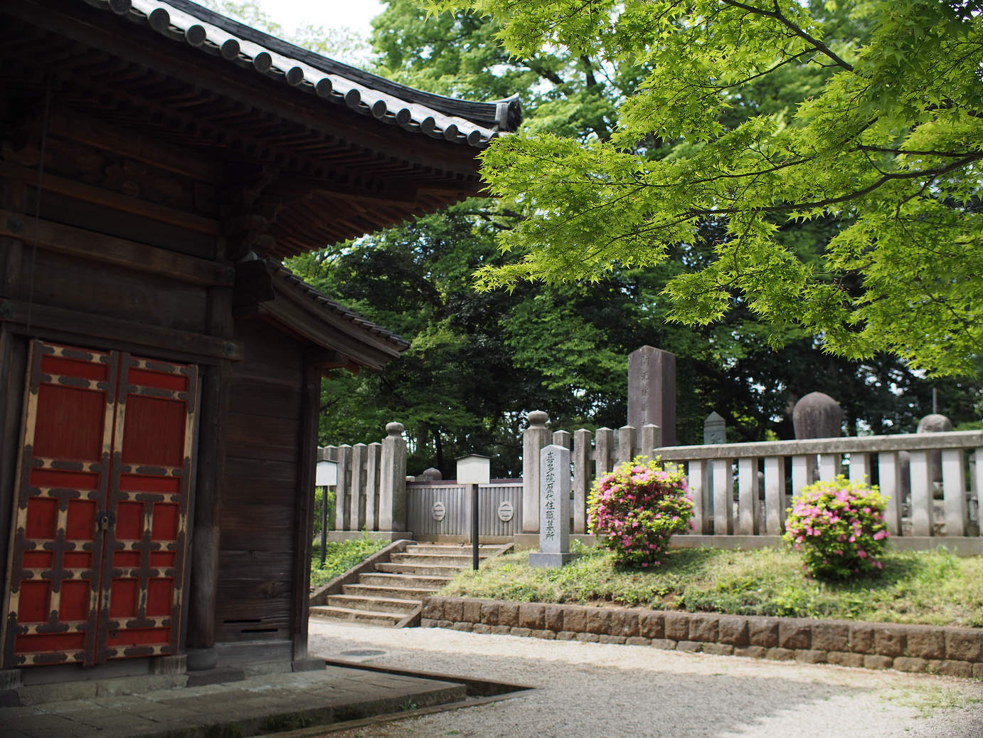 P4230142.jpg