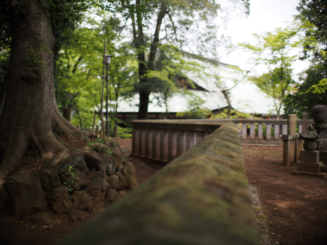 P4230144.jpg
