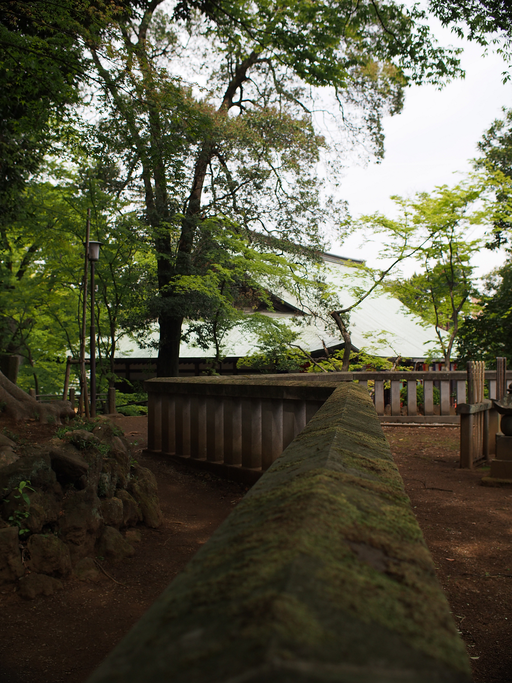 P4230146.jpg