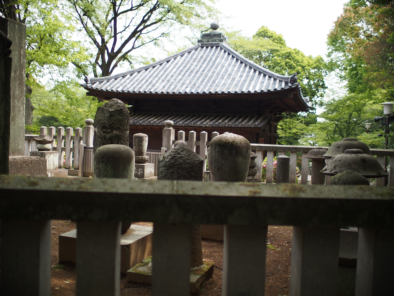 P4230147.jpg