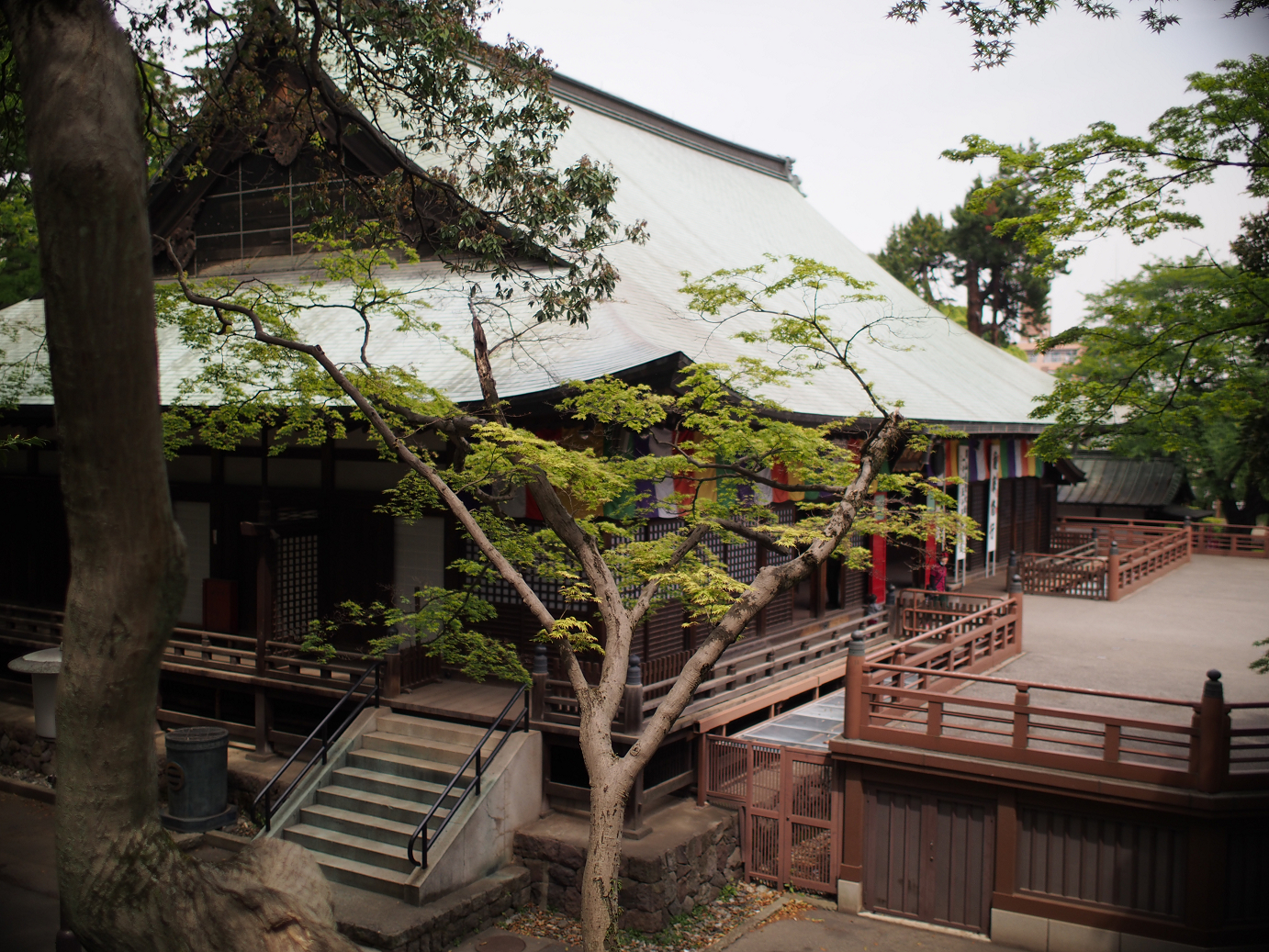 P4230149.jpg
