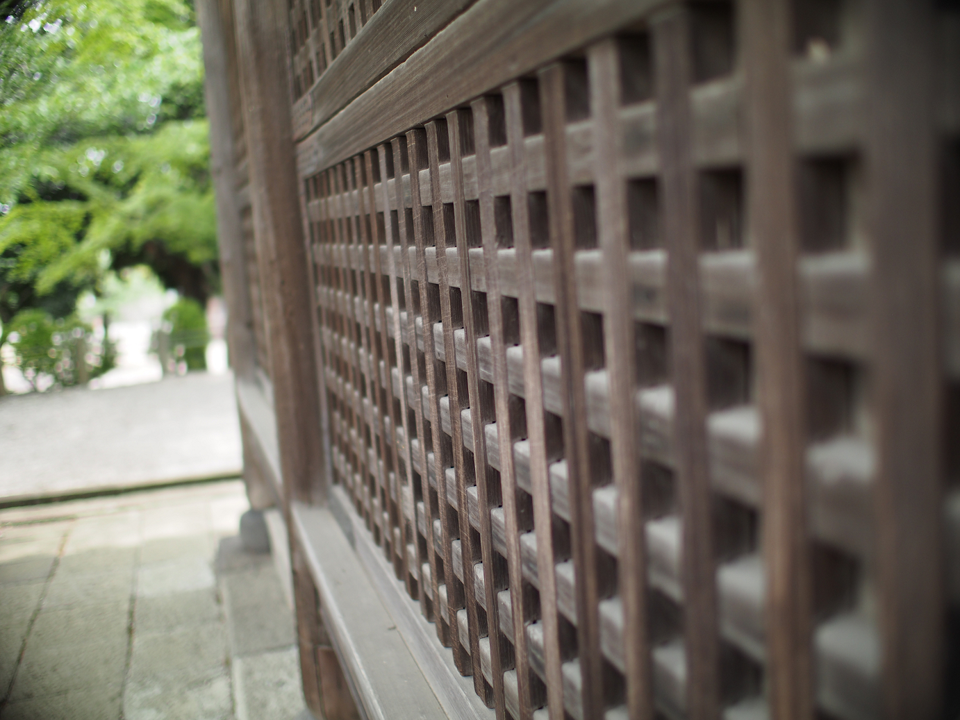 P4230152.jpg