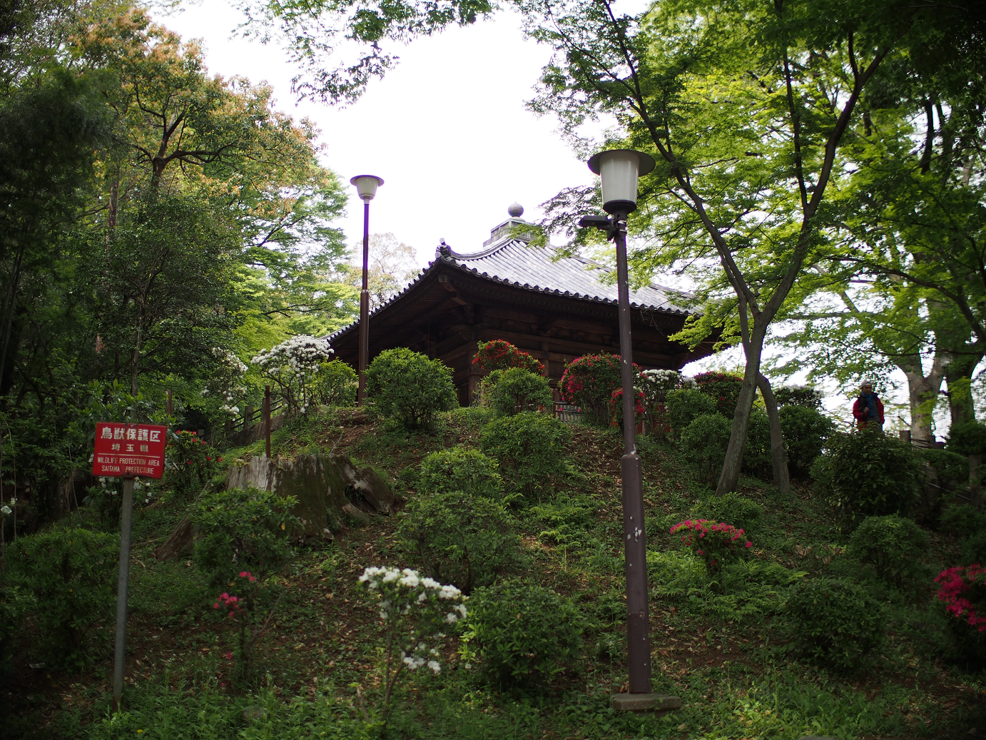 P4230161.jpg