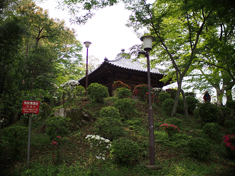 P4230161_thumb.png