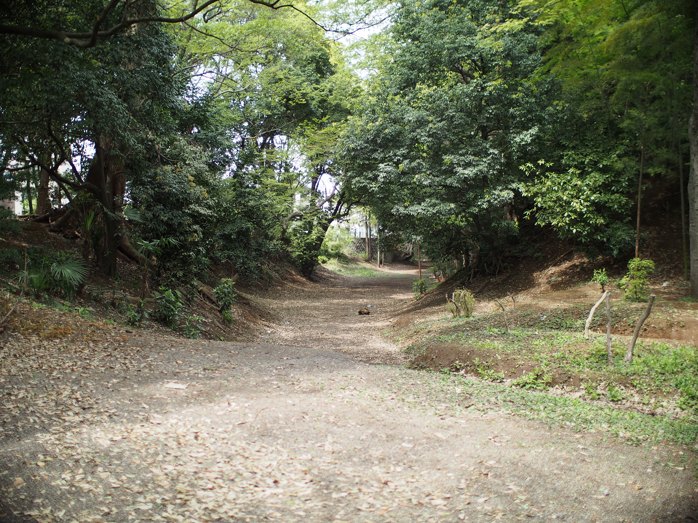 P4230162.jpg