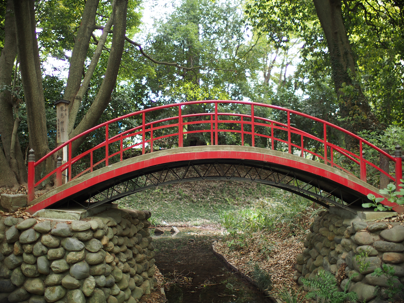 P4230163.jpg