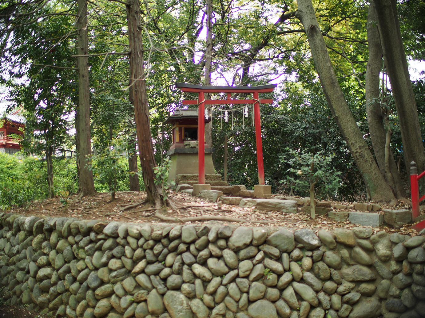 P4230164.jpg