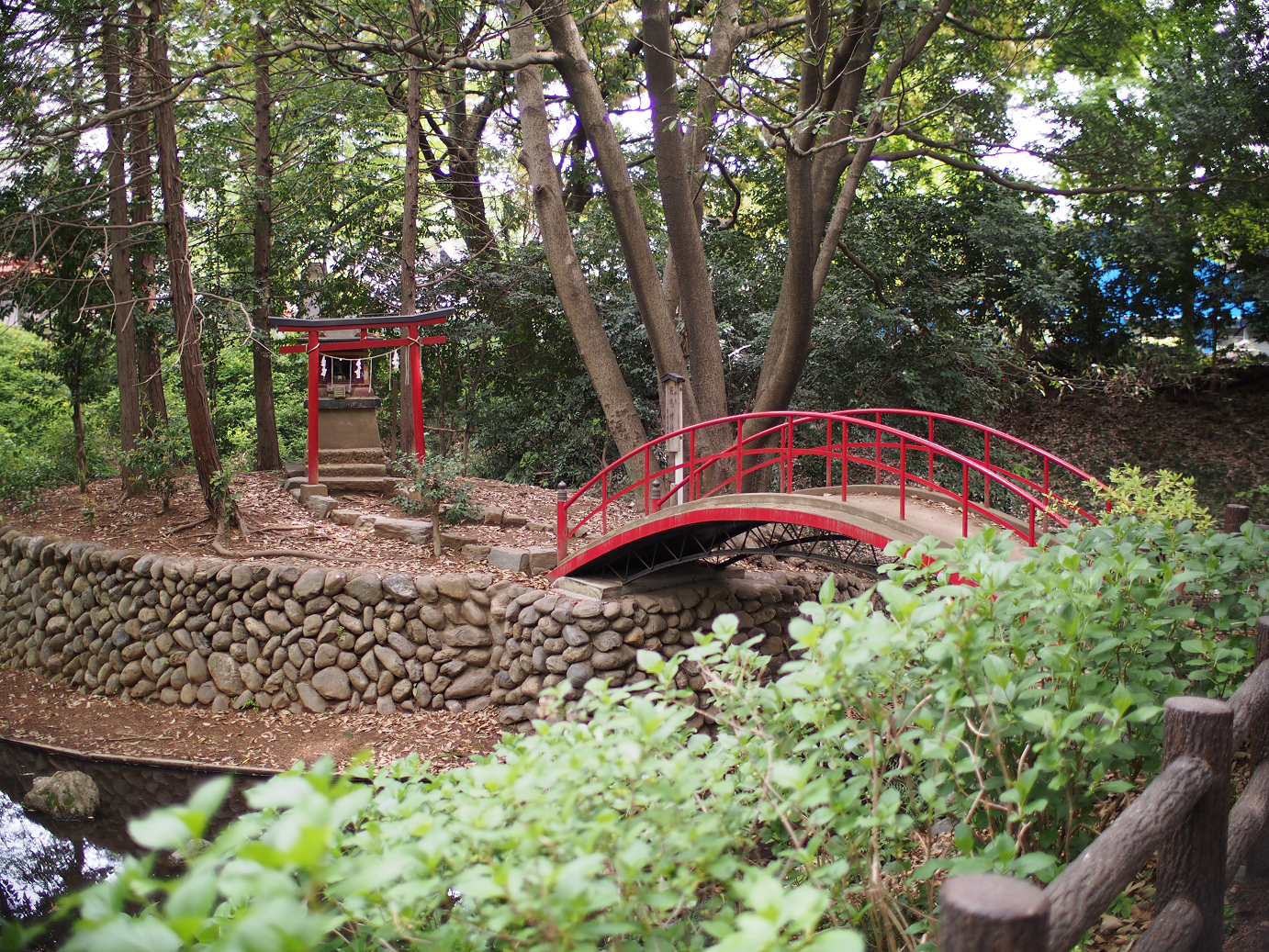 P4230165.jpg