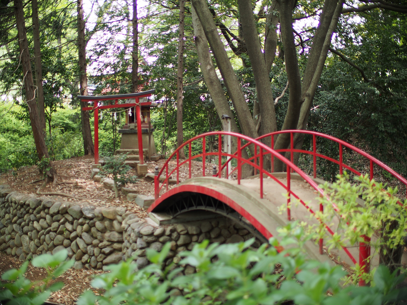 P4230166.jpg