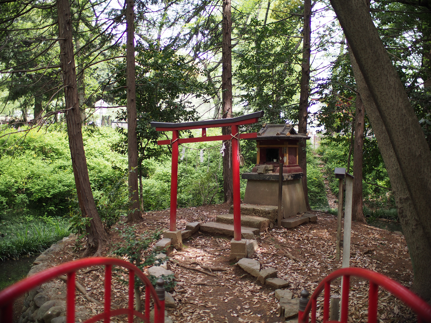 P4230167.jpg