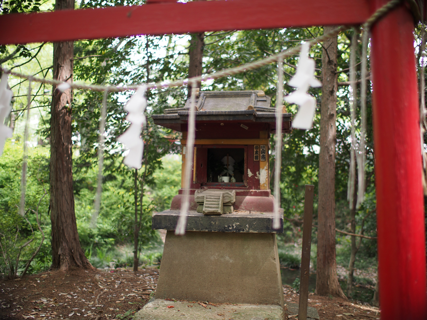 P4230168.jpg
