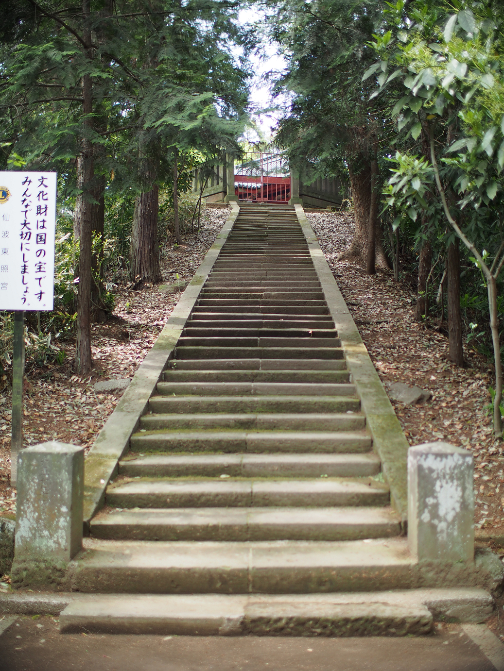 P4230169.jpg