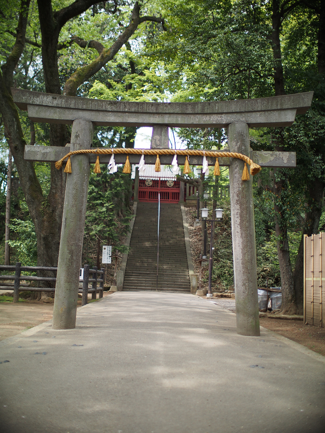 P4230173.jpg