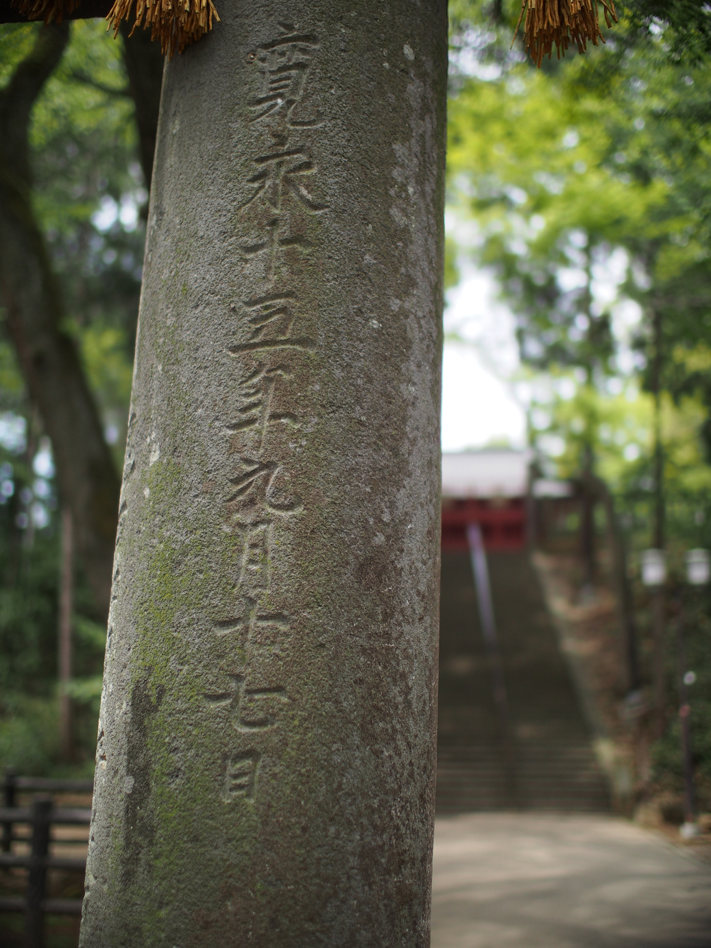 P4230174.jpg