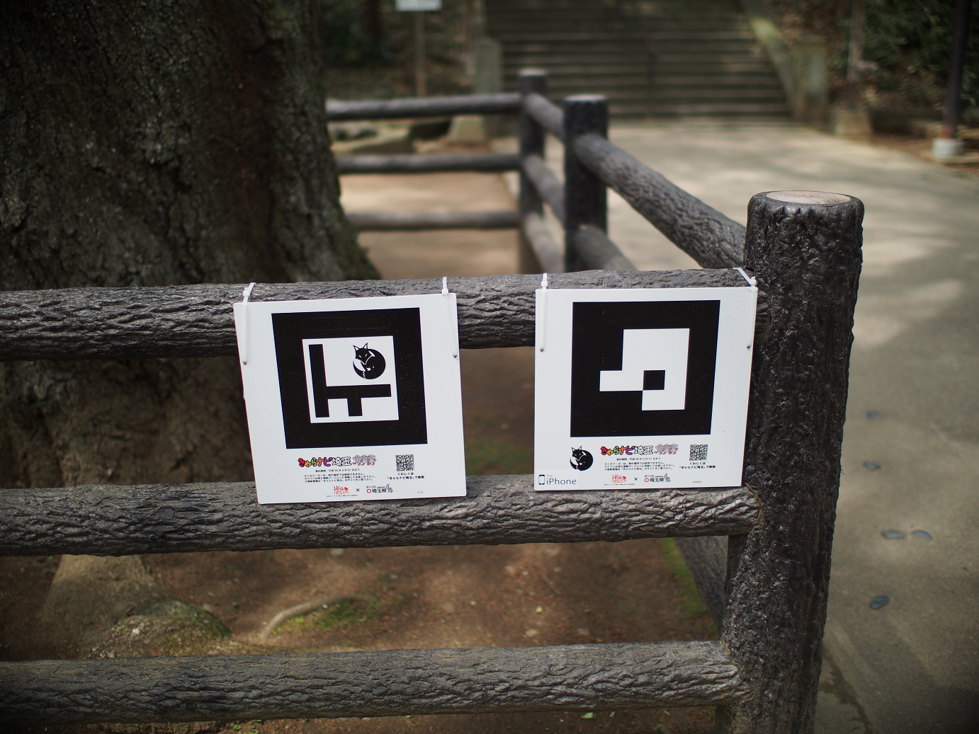 P4230175.jpg