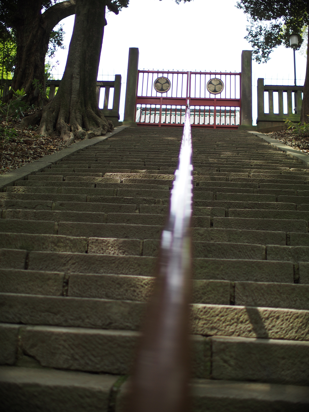 P4230176.jpg
