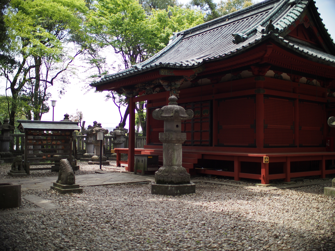 P4230179.jpg