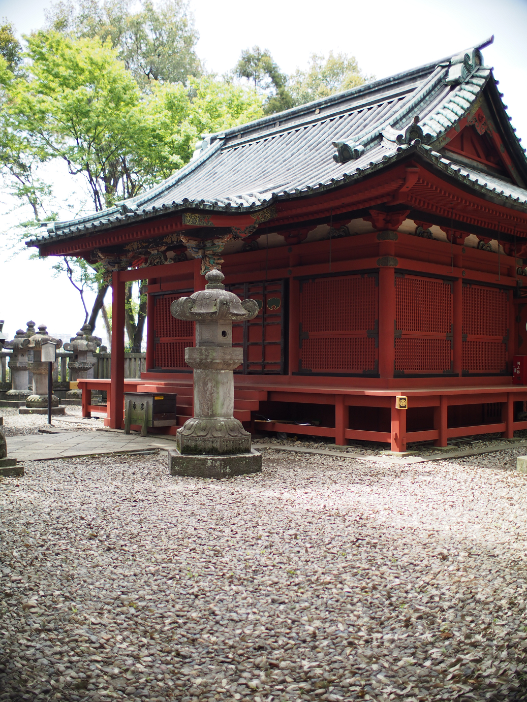 P4230180.jpg