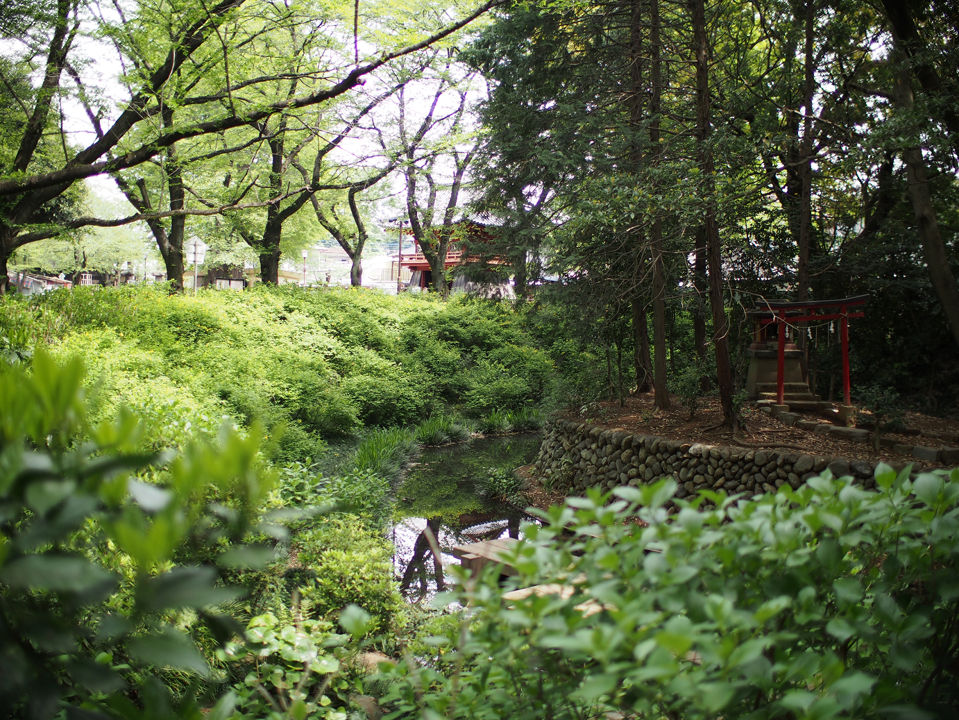 P4230181.jpg
