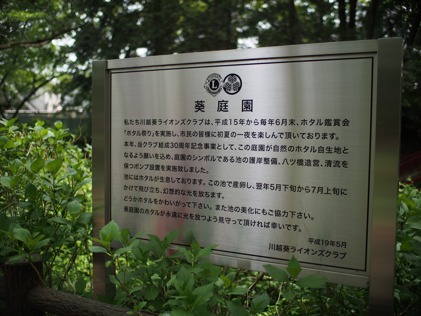 P4230182.jpg