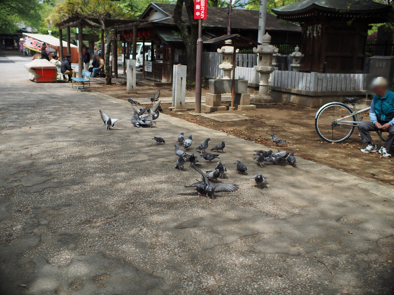 P4230192.jpg
