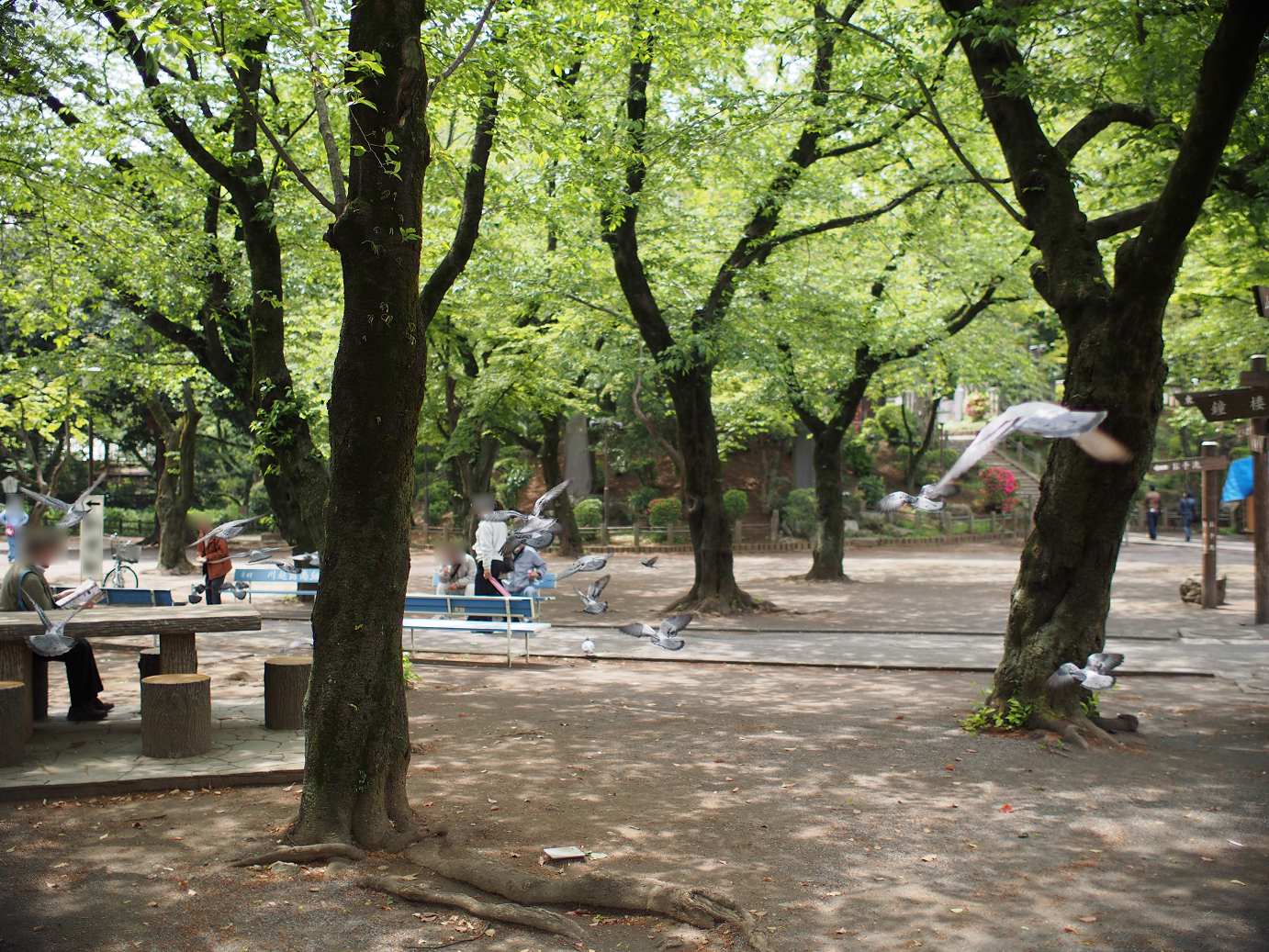 P4230201.jpg