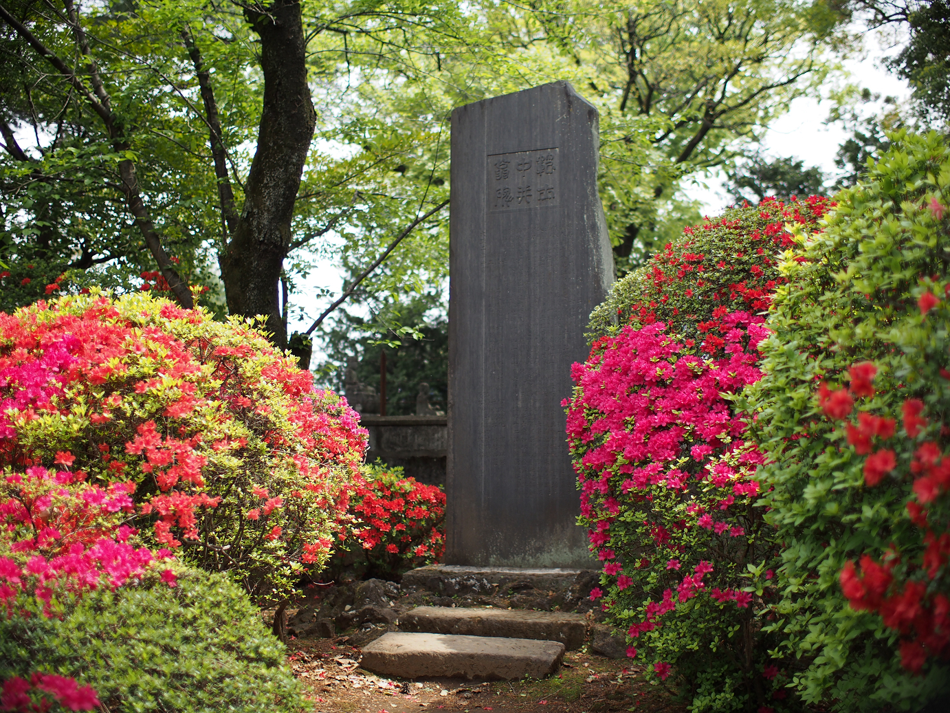 P4230226.jpg