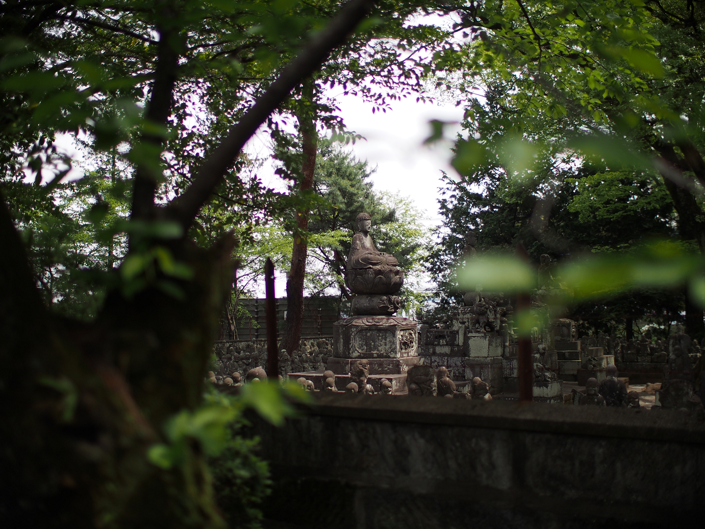 P4230227.jpg