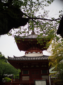 P4230232_thumb.png