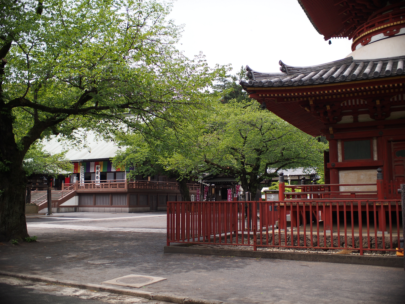 P4230234.jpg