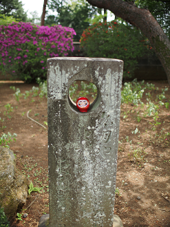 P4230237_thumb.png