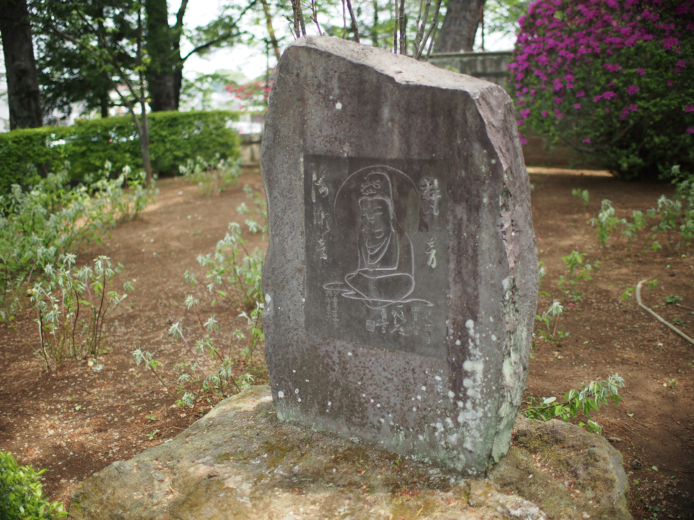 P4230239.jpg
