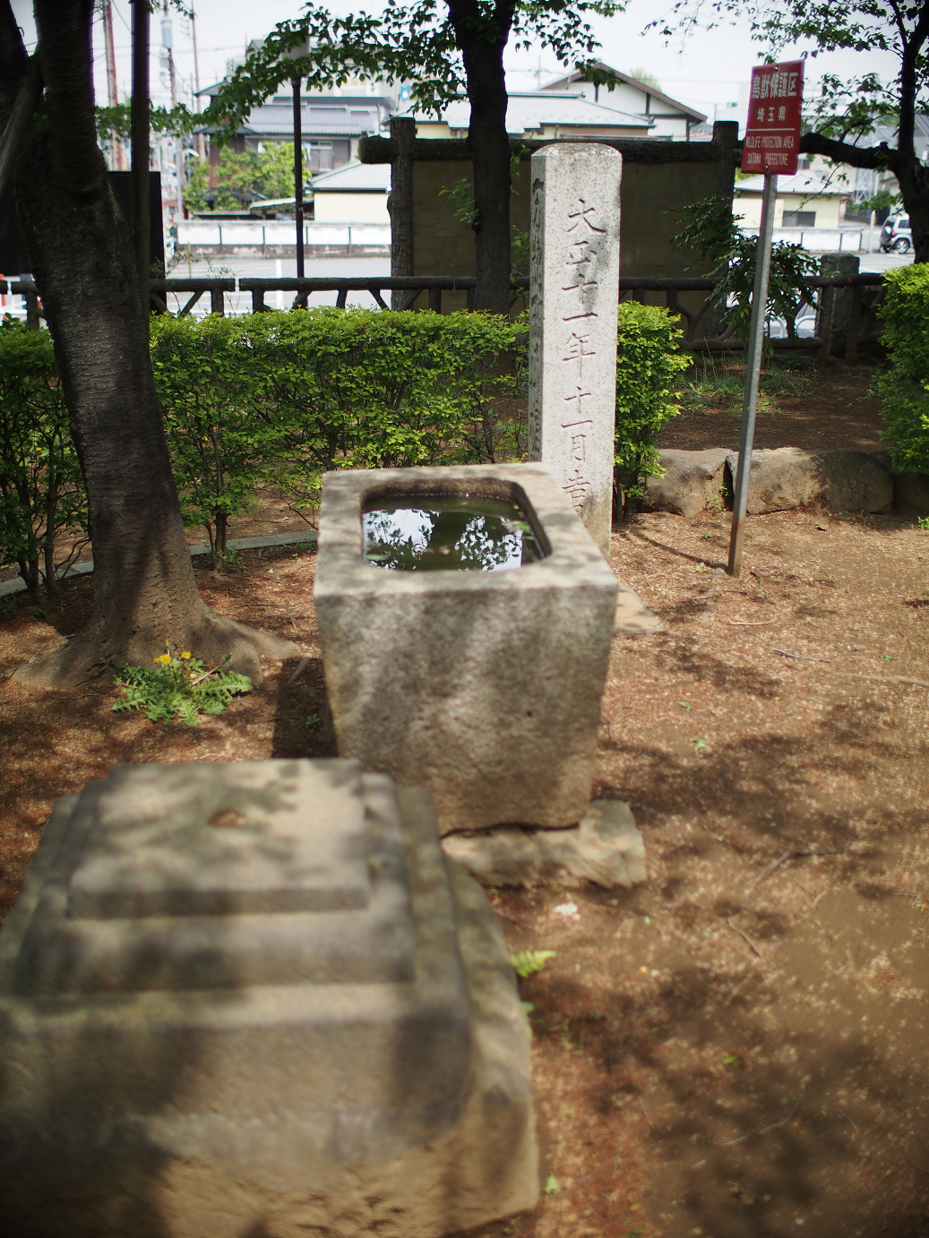 P4230240.jpg