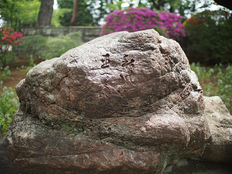 P4230241_thumb.png