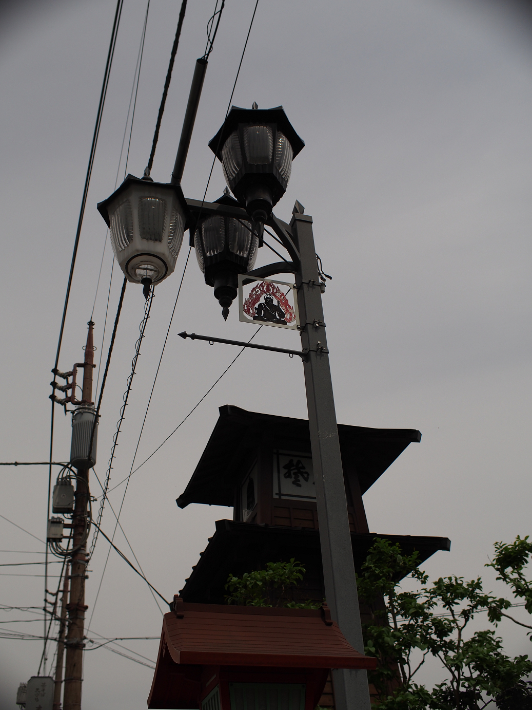 P4230249.jpg