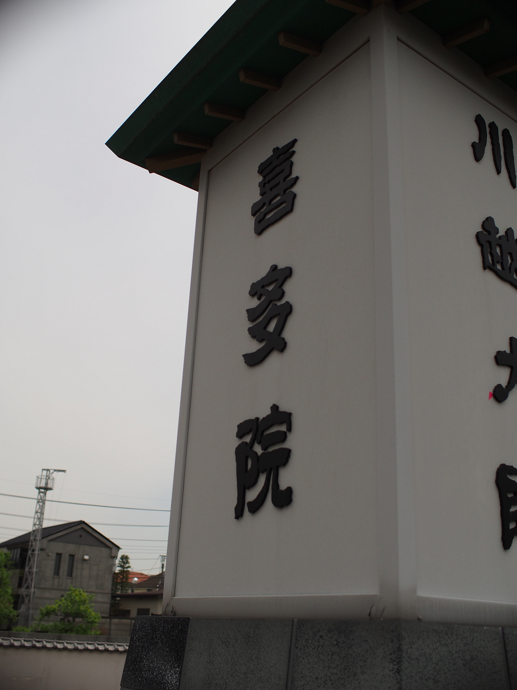 P4230255.jpg