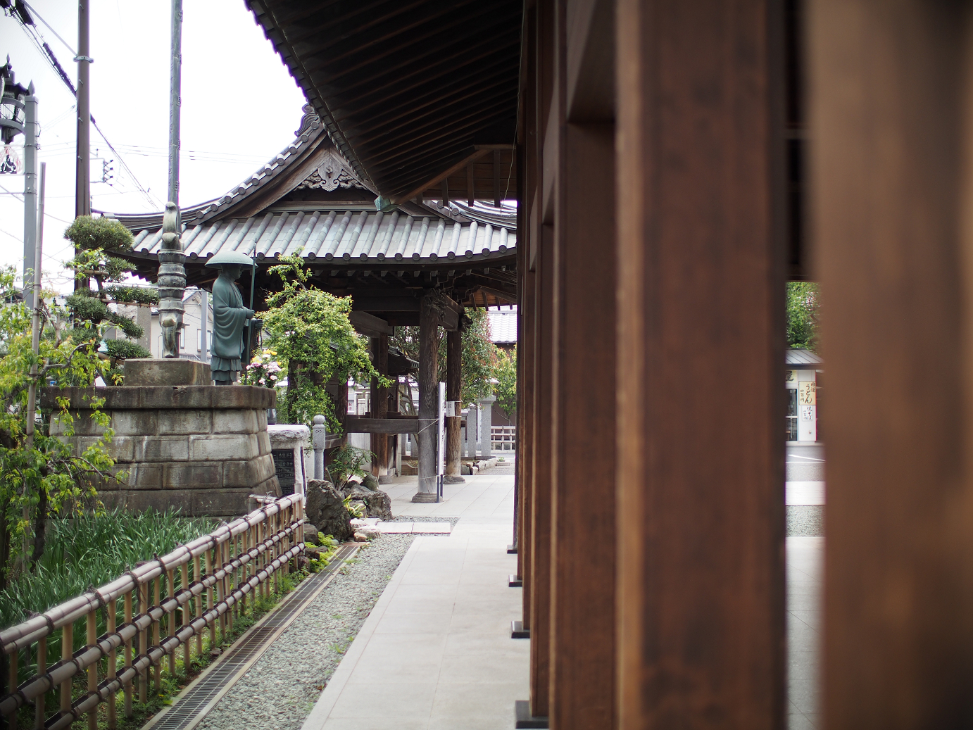 P4230265.jpg