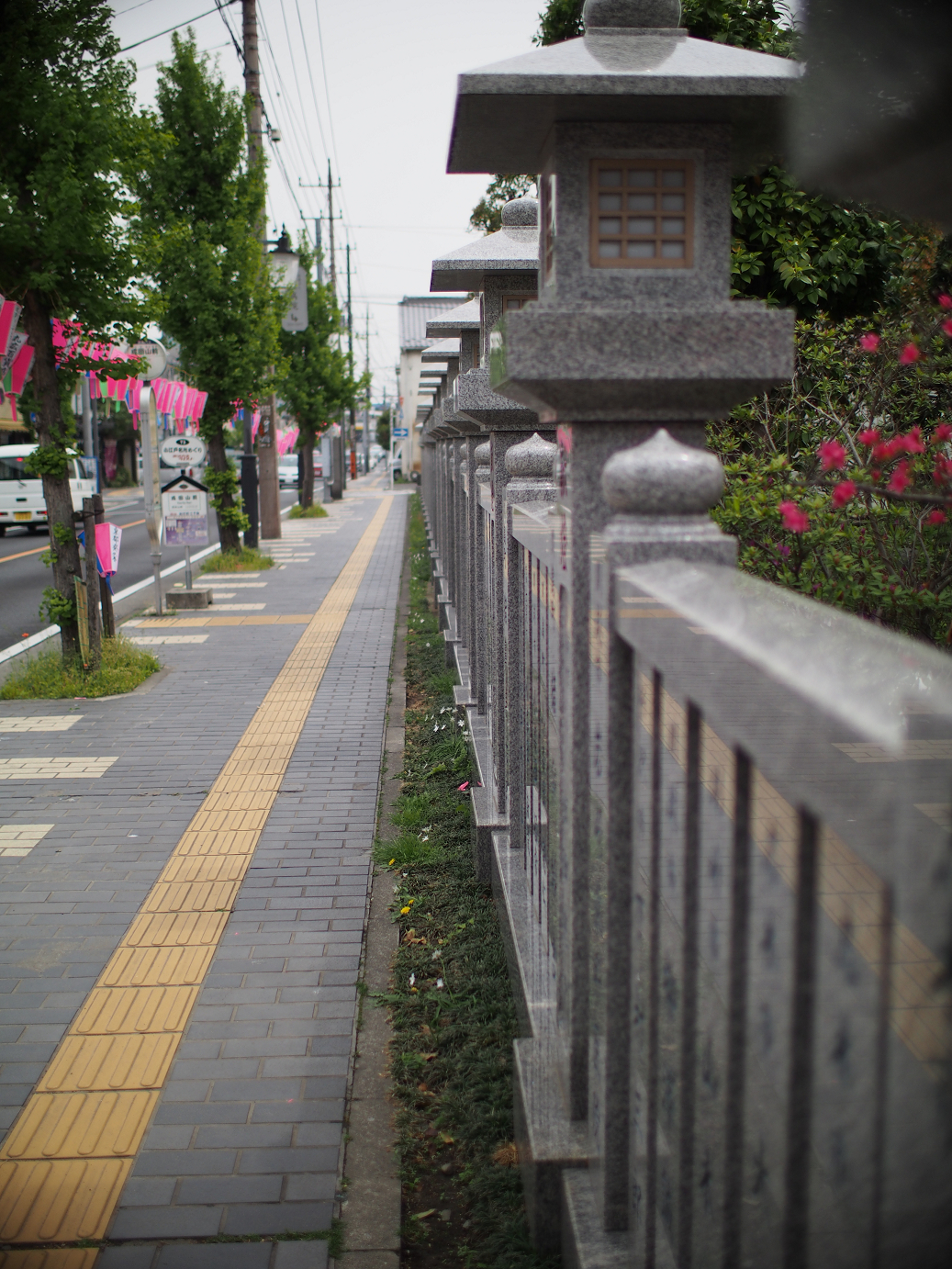 P4230272.jpg