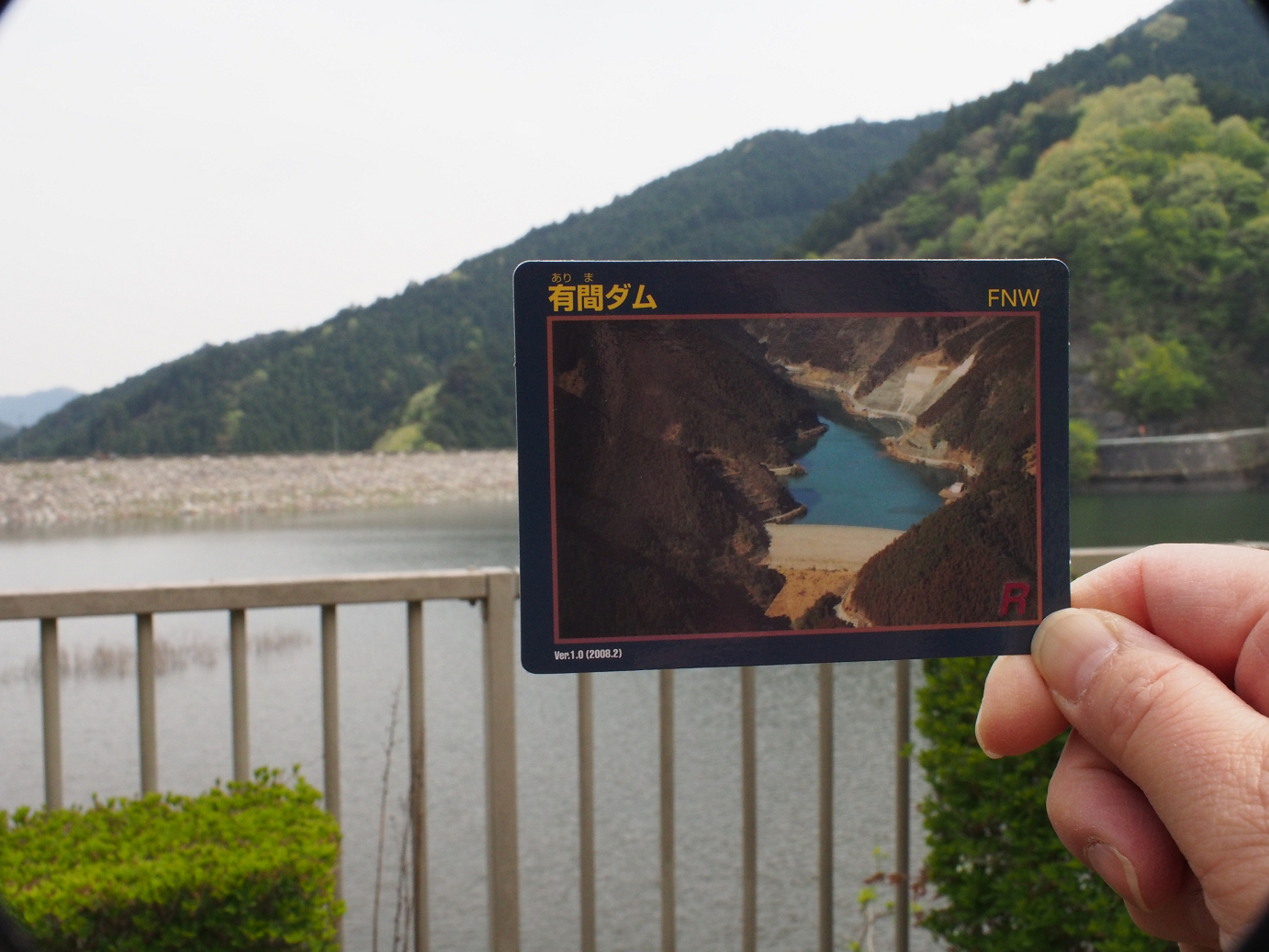 P4230280.jpg