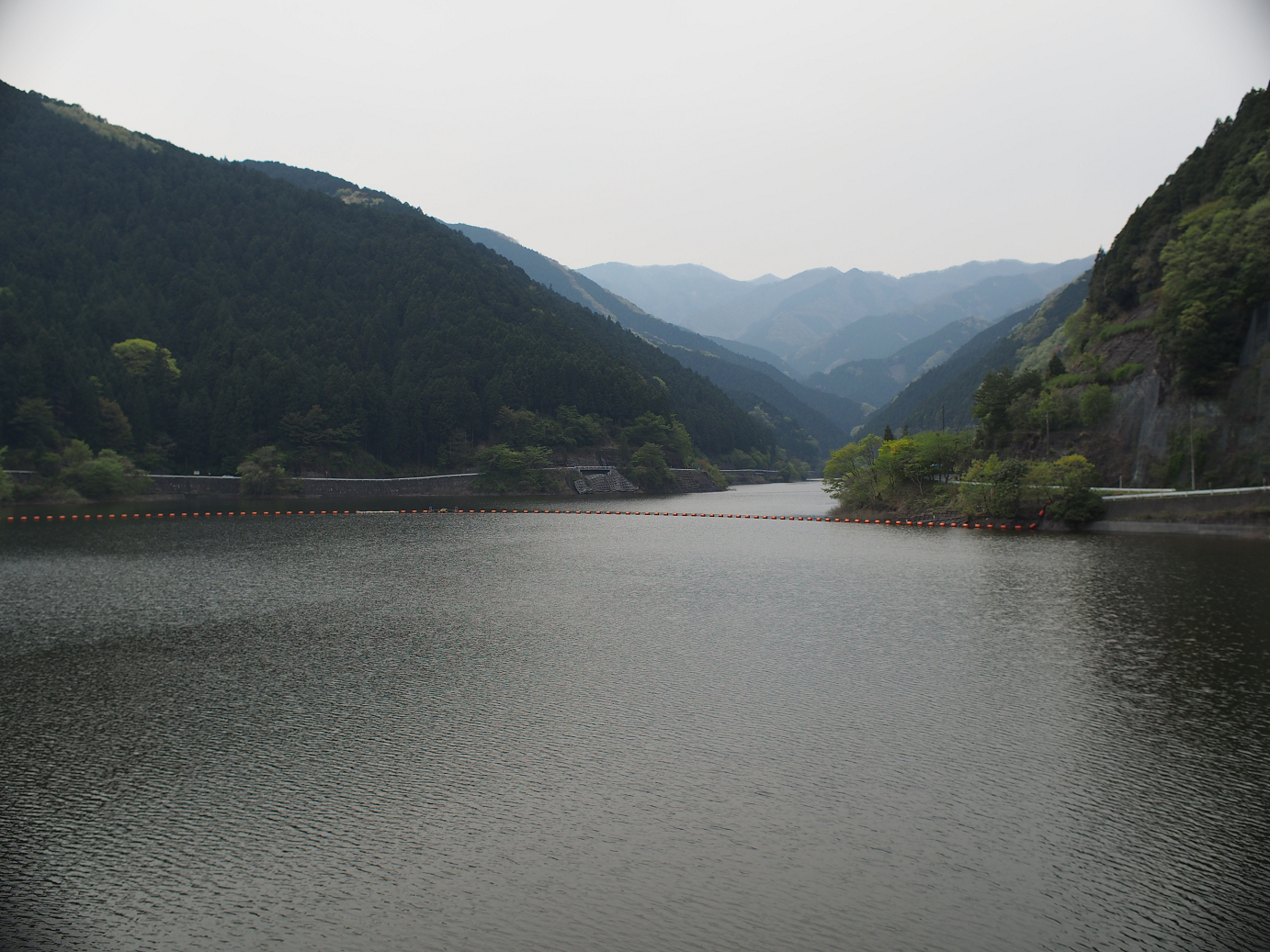 P4230282.jpg