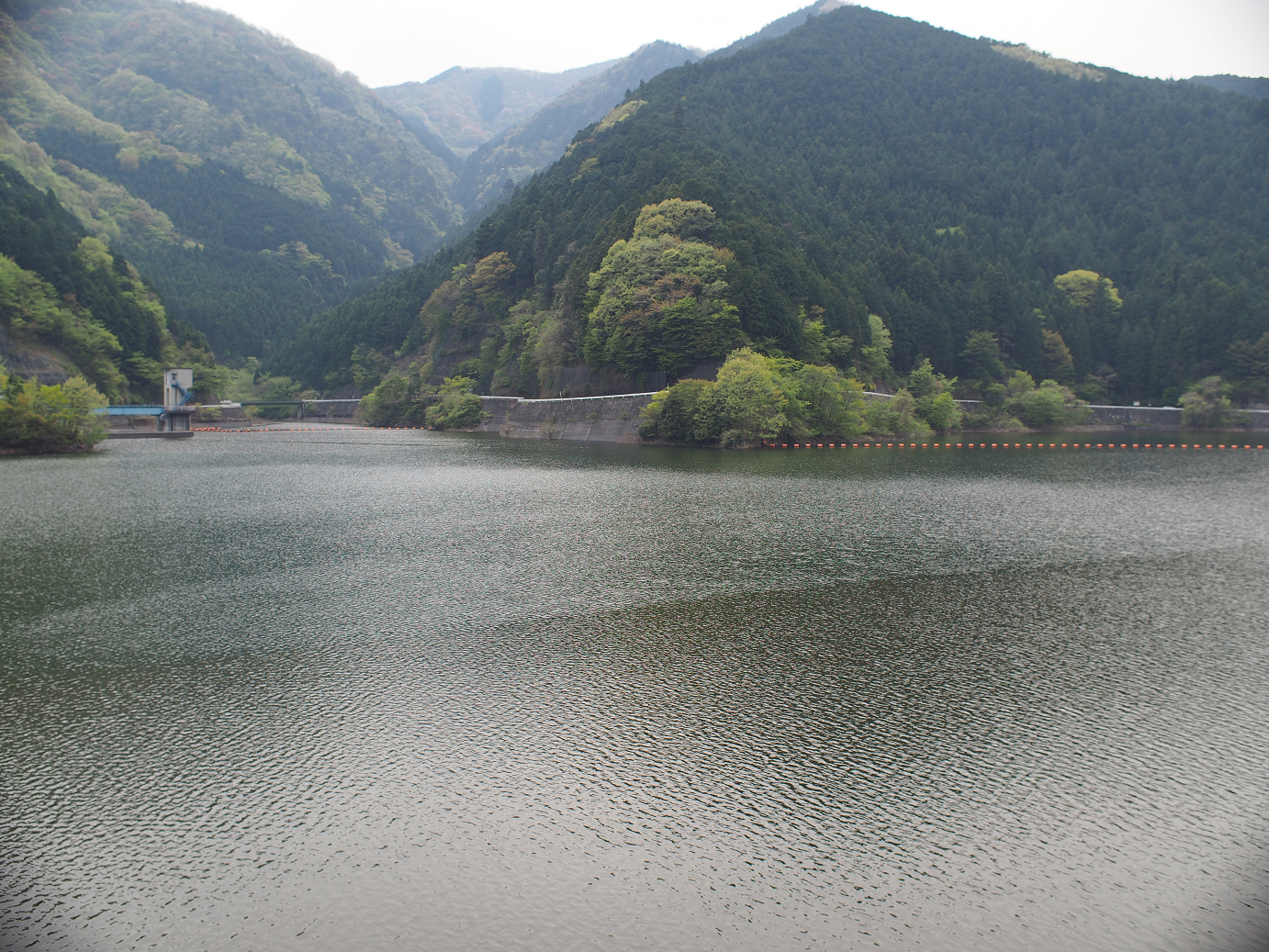 P4230283.jpg
