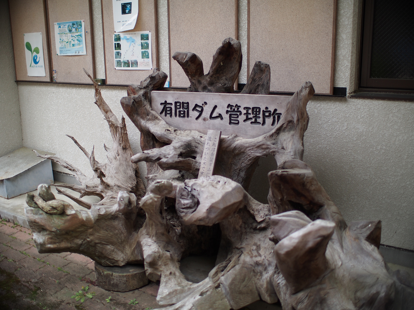 P4230289.jpg