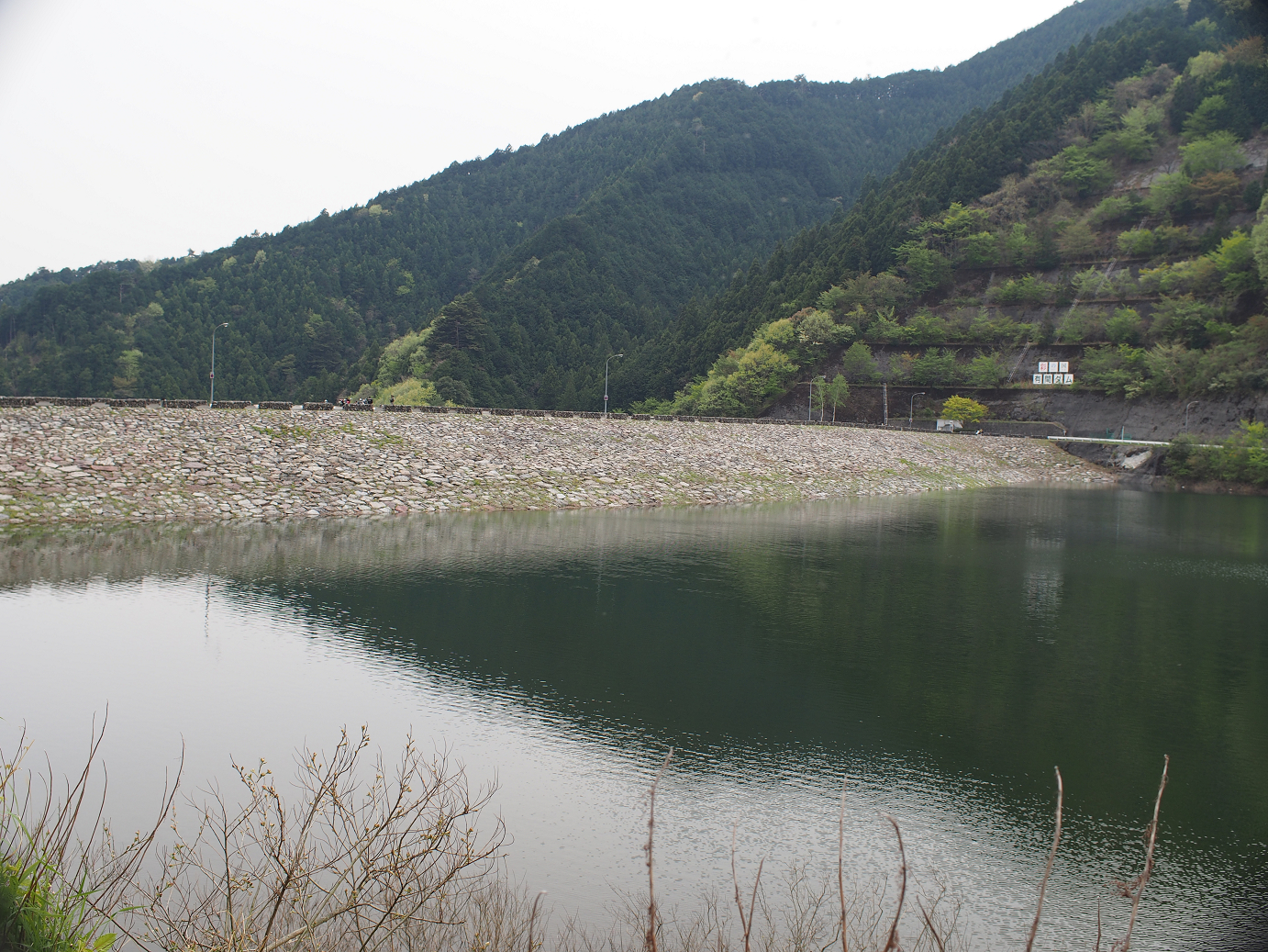P4230294.jpg