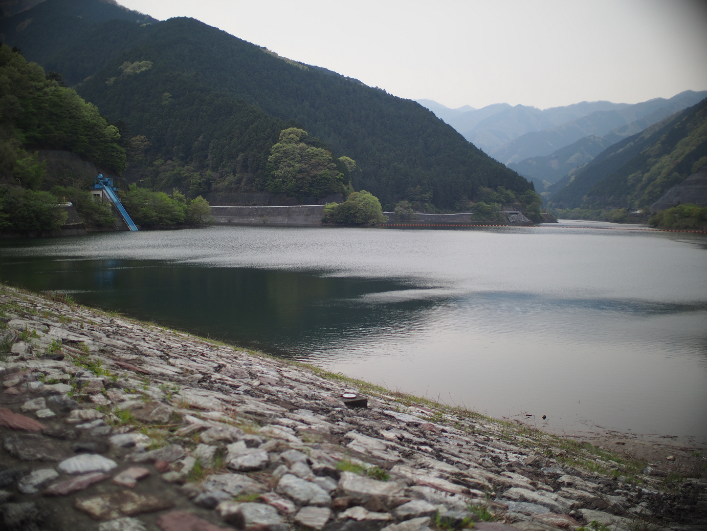 P4230303.jpg