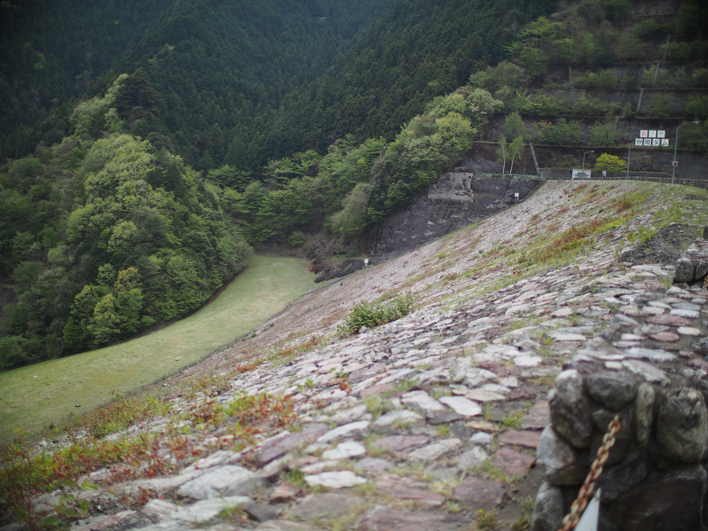 P4230304.jpg