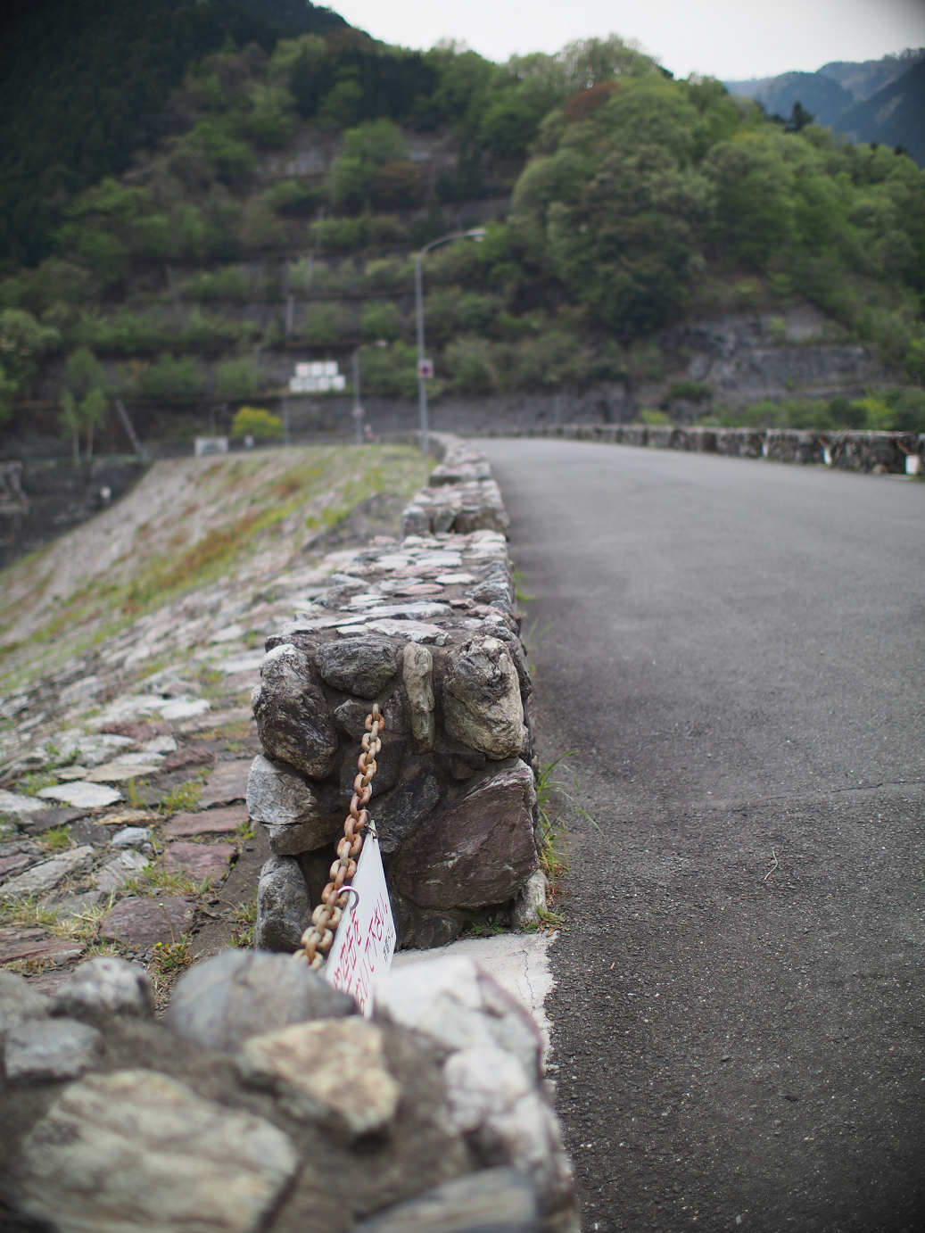 P4230305.jpg