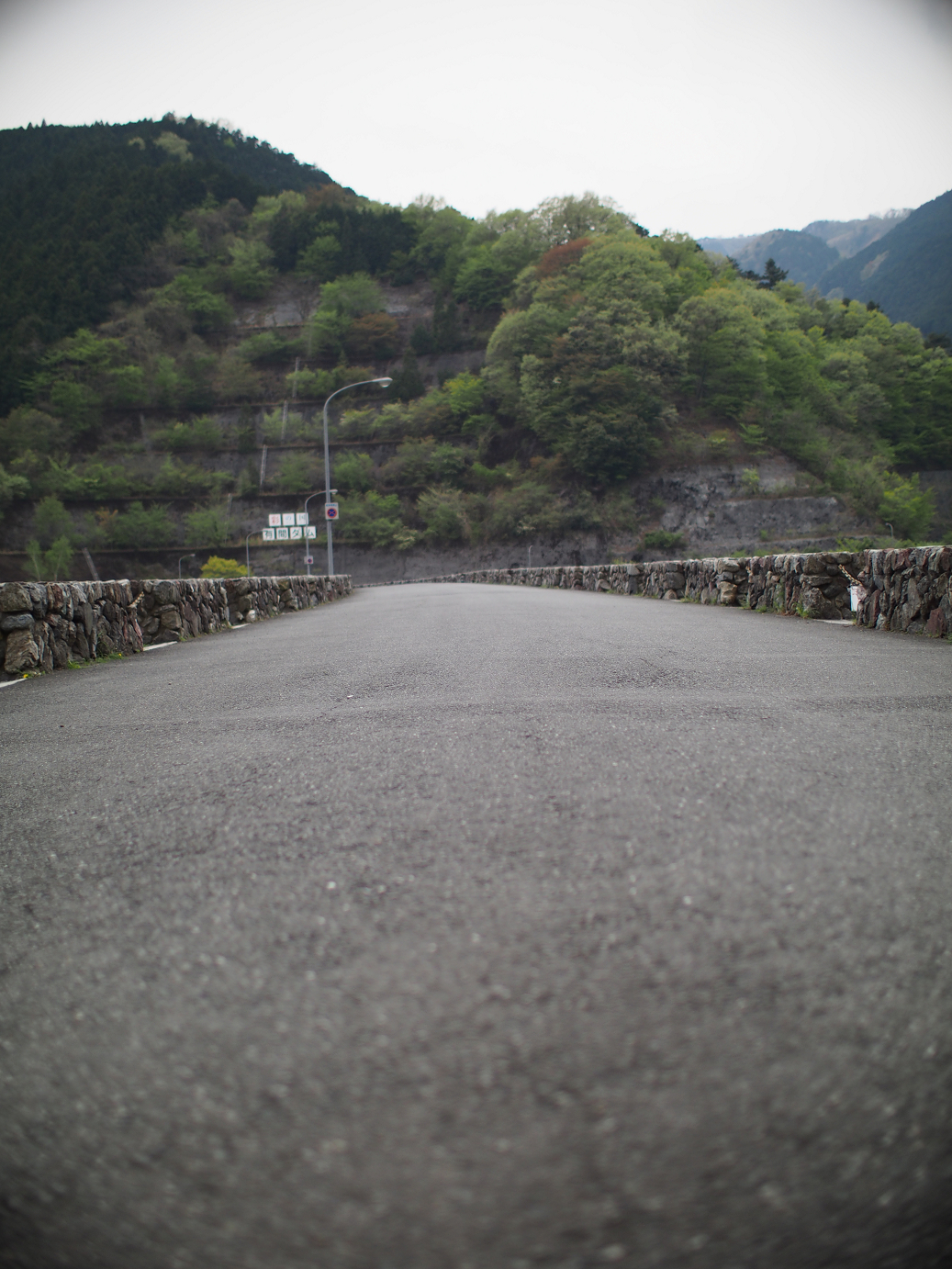 P4230308.jpg