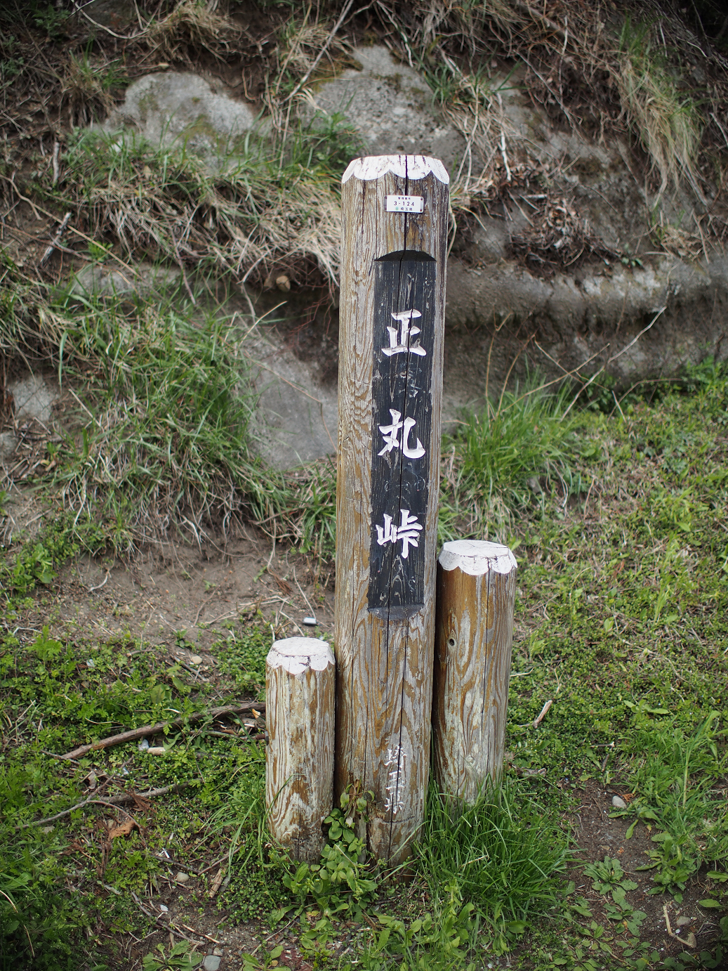 P4230320.jpg