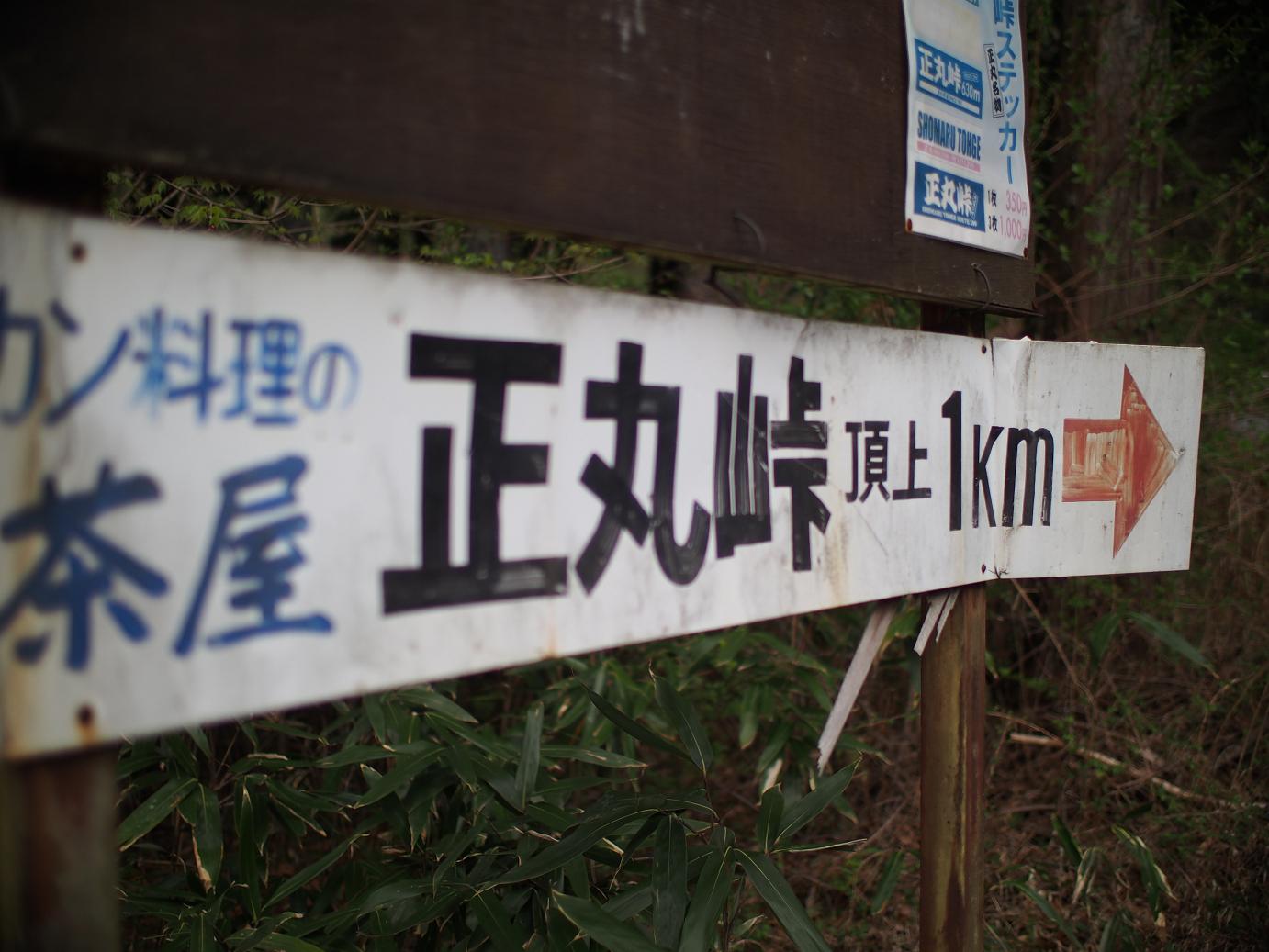 P4230326.jpg